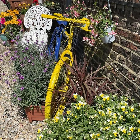 Oyo Yarm * Kirklevington